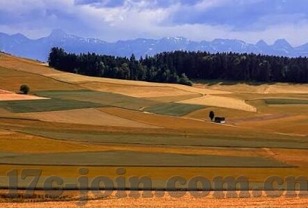 伦理小说-伦理小说的深度探索，在虚构与道德之间漫步