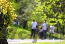 麻豆日记app下载入口-麻豆日记，记录生活，分享每日精彩——探索私密与自由的完美平衡
