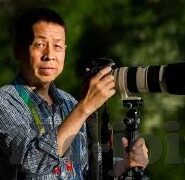 麻豆视频国产-麻豆视频国产，文化瑰宝与审慎视角的深度见证