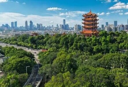 王有容果冻传媒-探索王有容与果冻传媒的创意交融，从创意到实践的甜蜜旅程
